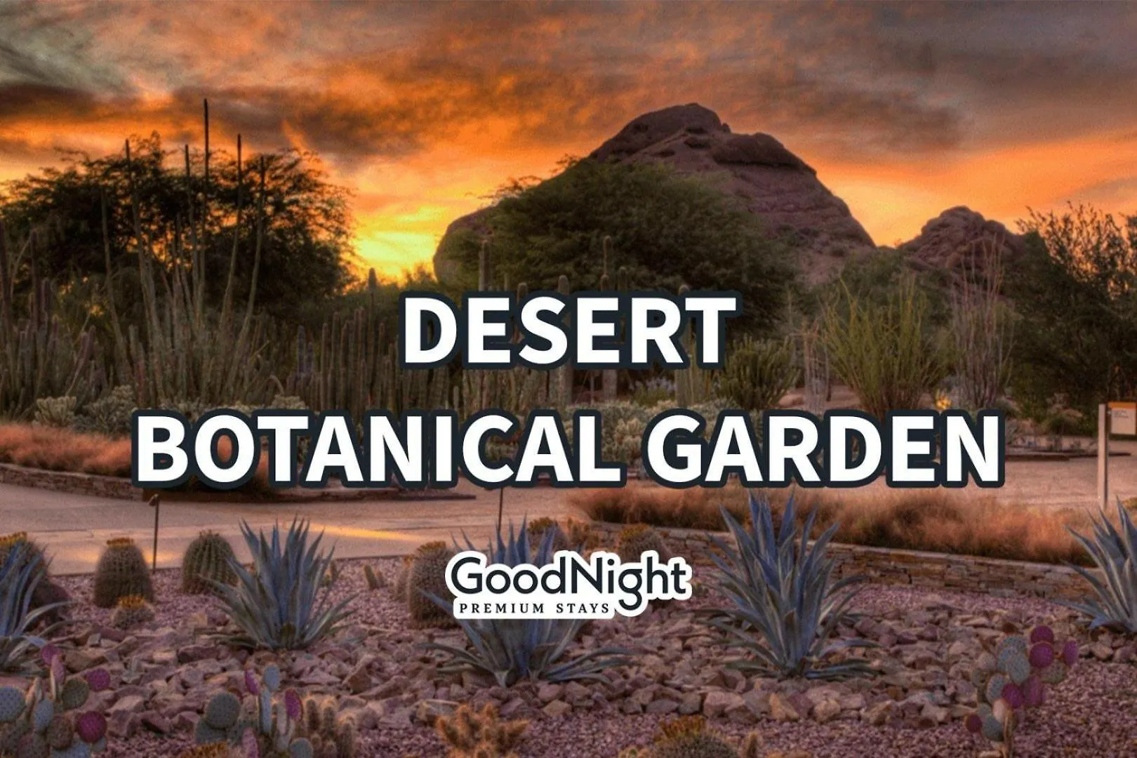 Nyaraló Maya - Heart Of Old Town - Community Hot Tub Scottsdale